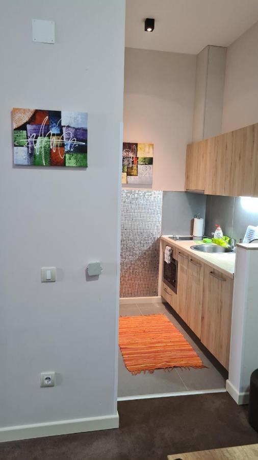 Apartman No1,Zupa Wellness & Spa Kopaonik Luaran gambar